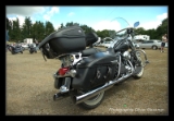 Harley Davidson-002